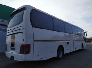 Man Lion´s Coach