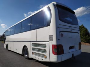 Man Lion´s Coach